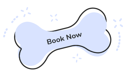 Book Now