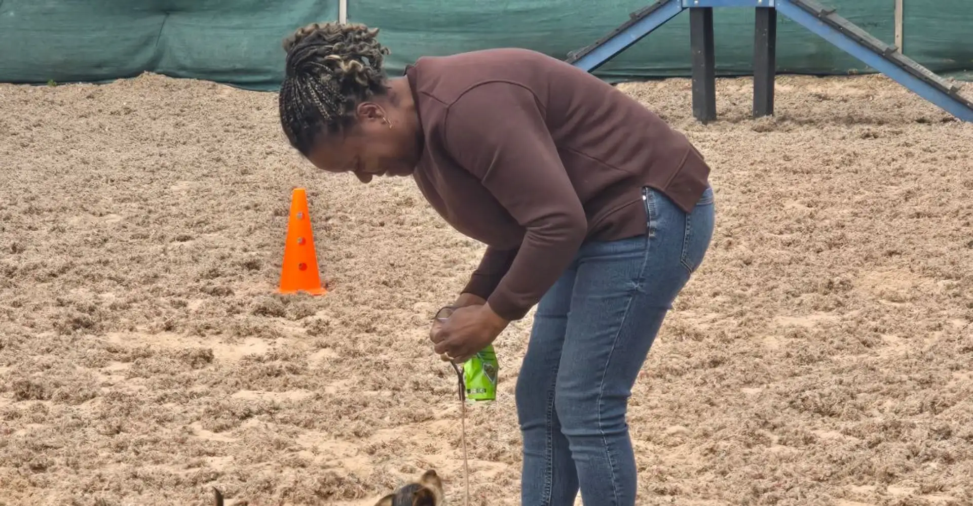 Dog Paw Training session with a puppy on the training field in Bolton